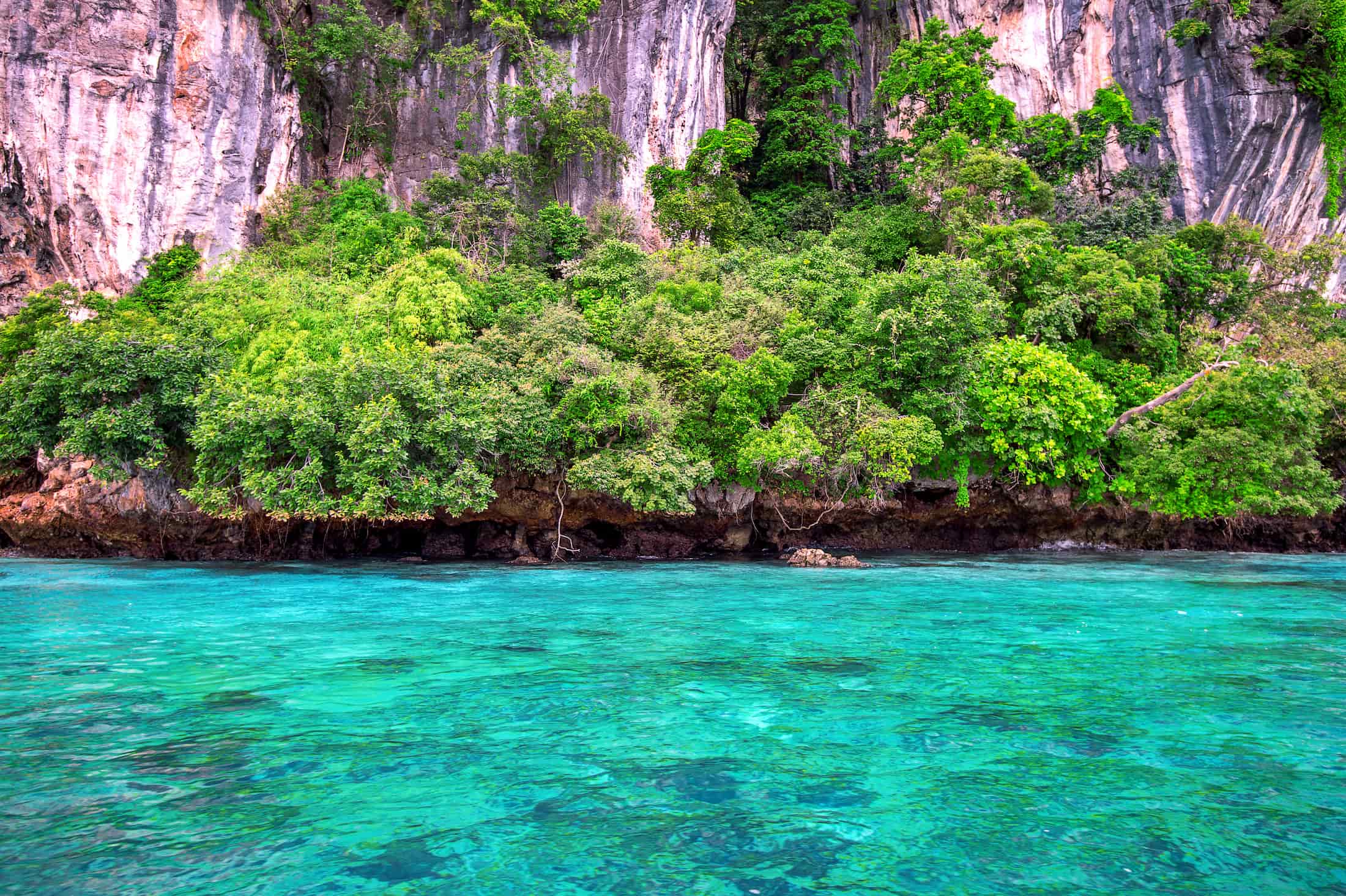 Krabi Island Explorer: Hong + Four Islands + Phi Phi Logic