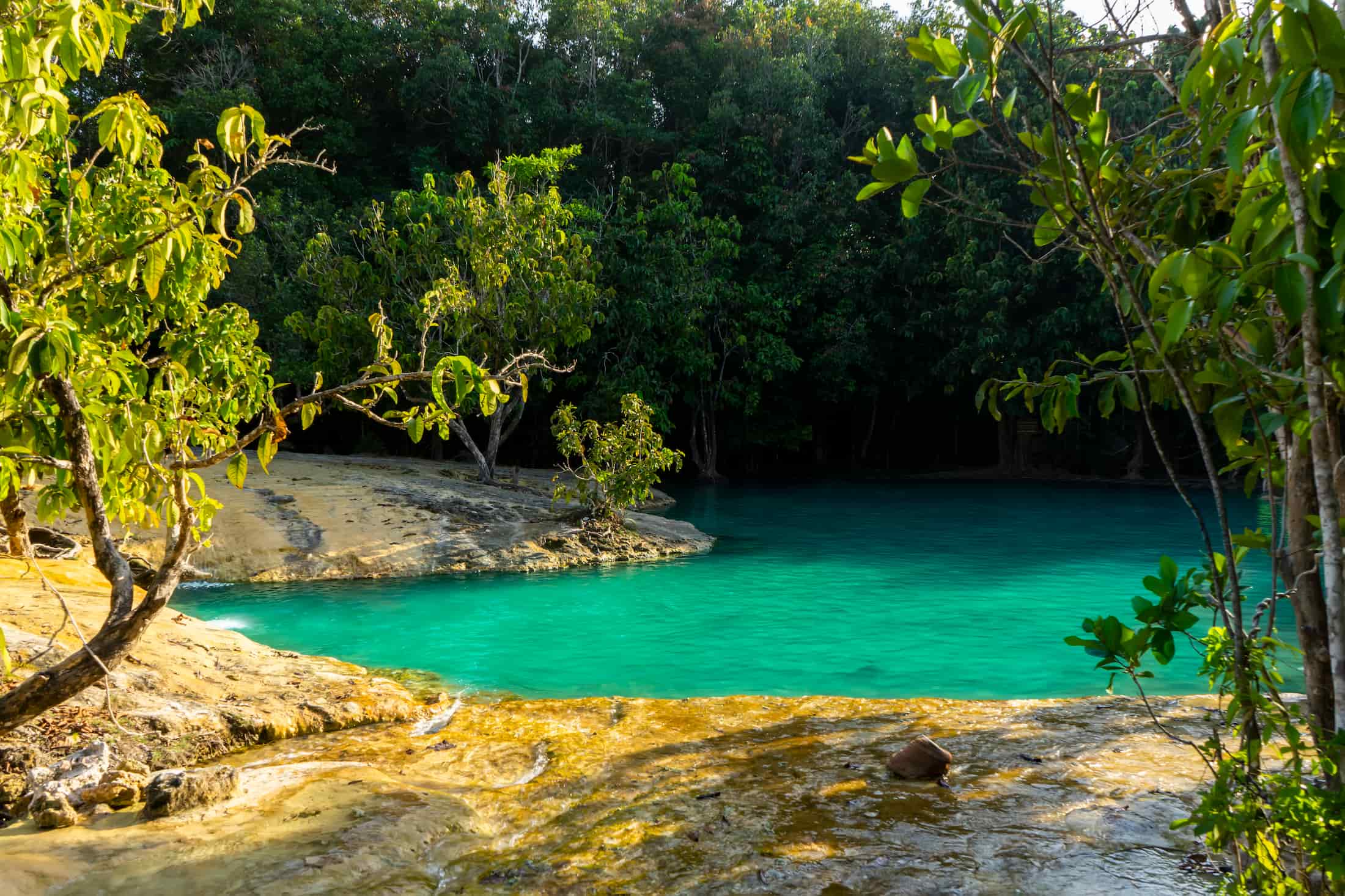 Krabi Nature Escape: Emerald Pool, Hot Springs, and Jungle Calm